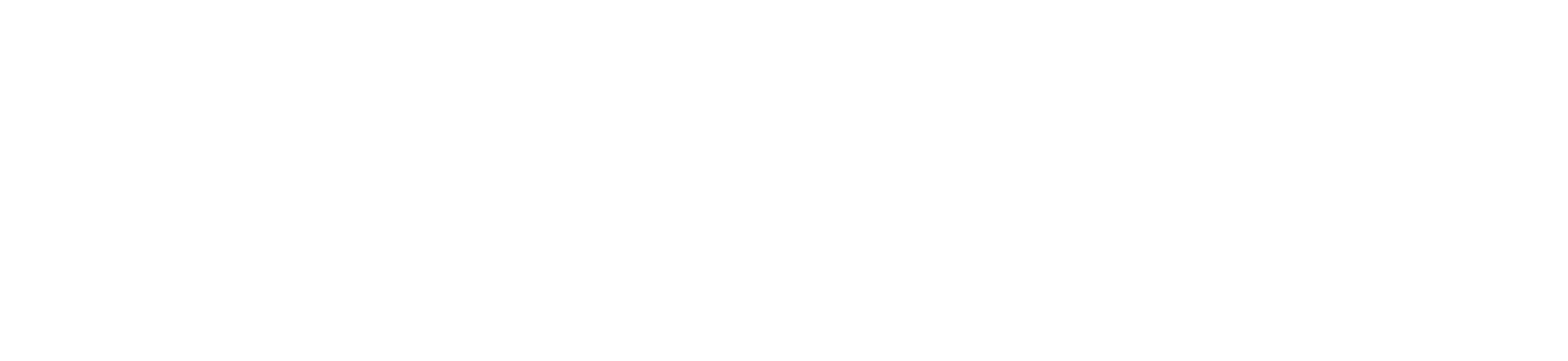 inspecionar-logo
